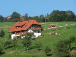 Das Ferienhaus