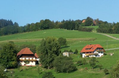 farm and holiday house