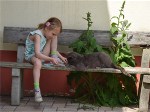 Unser Kater 