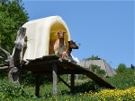 tree house for our goats