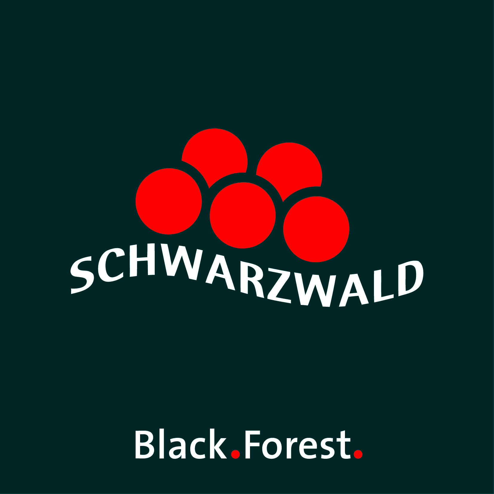 schwarzwald-tourismus.de