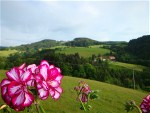 Blick vom Südbalkon zum Gerstenhalm